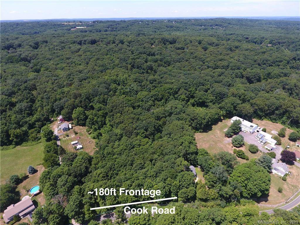 OPTIONS APLENTY. The opportunity to create your own private estate on a beautiful wooded lot in a desirable location.