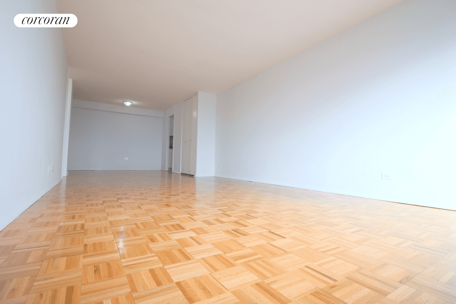 Massive apartment plus four 4 Closets !