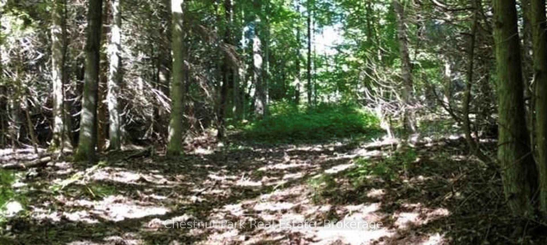 The complete 102 acres is a bush lot, with the back half having excellent timber that could be harvested.