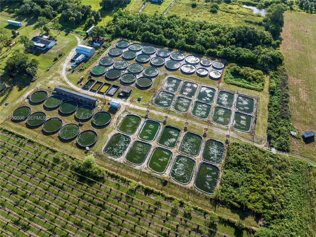 Tilapia Fish Farm. This 21 acre property is fully set up and ready for a new owner to start generating income immediately from a well established, highly profitable, and fully ...