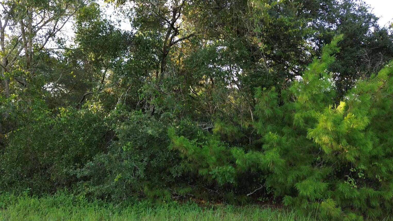 Oversized 0. 32 acre lot in the sought after Marion Oaks Unit 5 neighborhood, offering plenty of space to build your dream home.