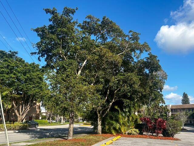 Discover this charming and conveniently located first floor 2 bedroom, 2 bathroom condo in 55 community of Sunrise Lakes Phase IV.