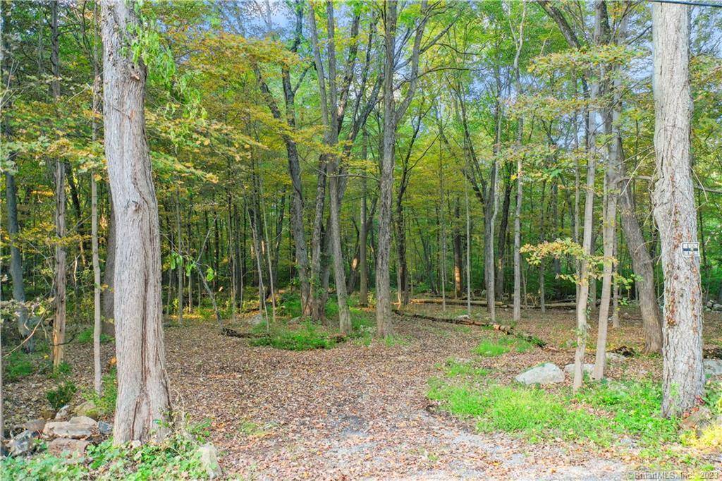 A truly rare find, 25 acres on the Greenwich Stamford border nestled against over 900 acres of the Mianus River Gorge Preserve.