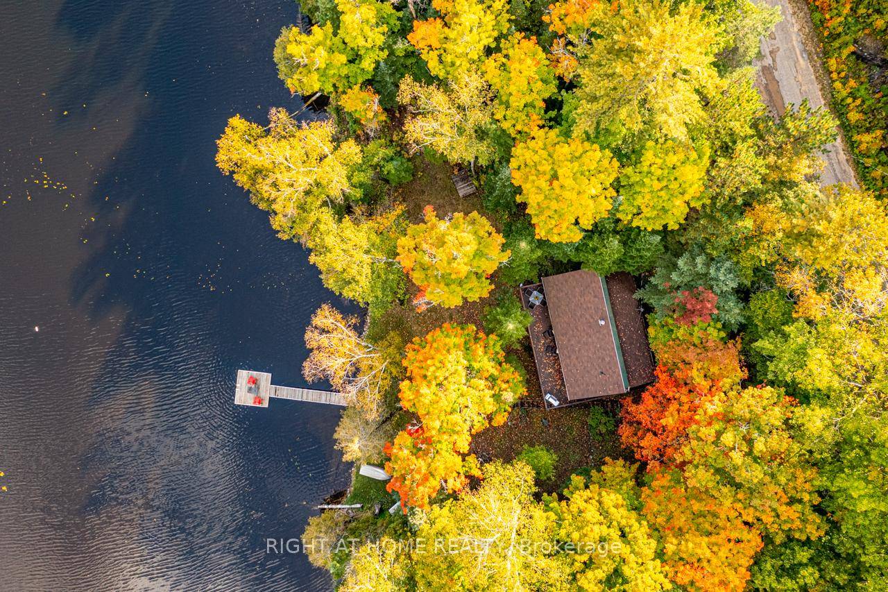 Your Turnkey Cottage Escape on South Portage Lake Experience the magic of true cottage living in this impeccably maintained, fully turnkey waterfront retreat just minutes from Halliburton.