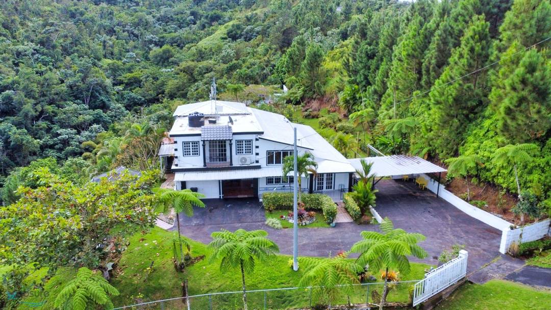 4 HM, STREET 146 ROUTE 608 KM 6, CIALES, PR 00638 House Ciales