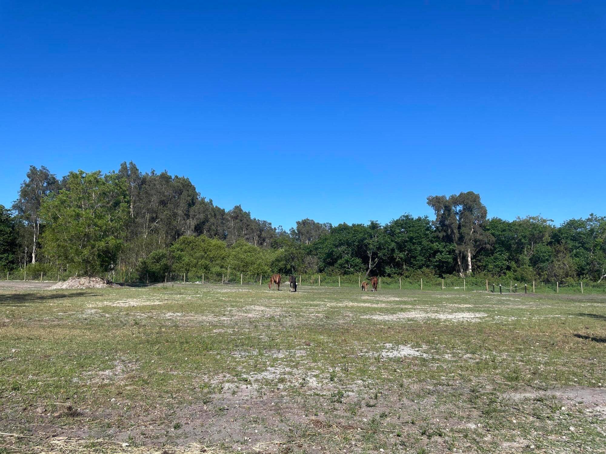12398 Tangerine Boulevard Land Palm Beach