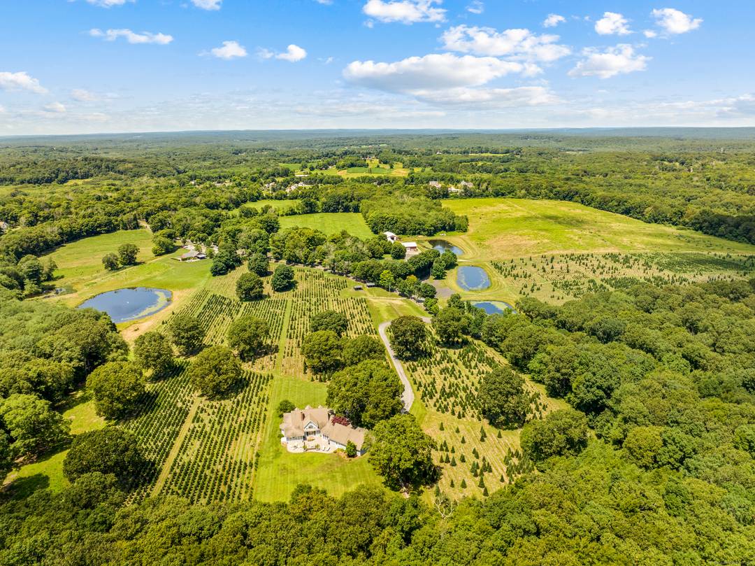 Maple Lane Farms is a unique, one of a kind, property and potential business opportunity consisting of approximately 225 contiguous acres with approximately 114 acres located in the town of ...
