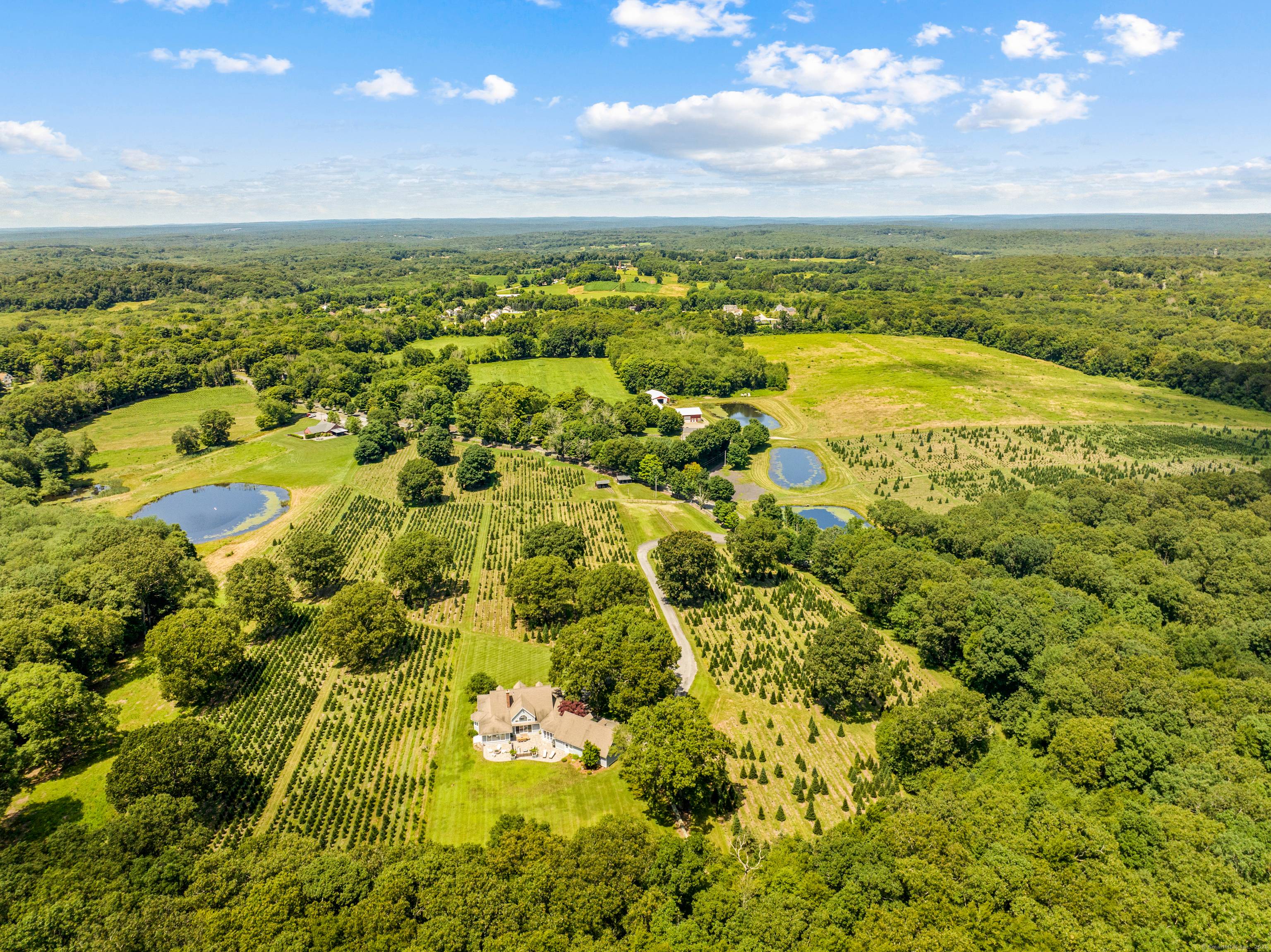 Maple Lane Farms is a unique, one of a kind, property and potential business opportunity consisting of approximately 225 contiguous acres with approximately 114 acres located in the town of ...