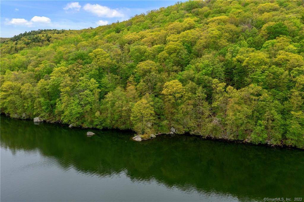 55 Wooded Acres along the western side of beautiful Wagon Wheel Rd.