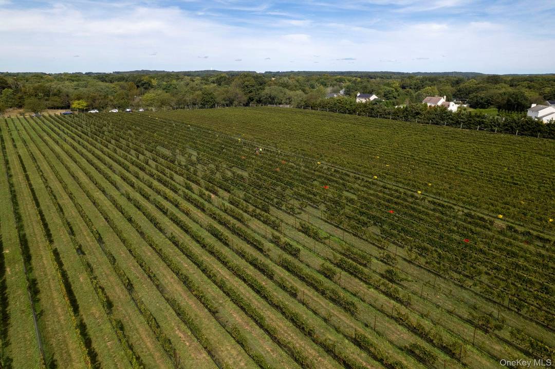 Step into a realm of unparalleled beauty and organic excellence at Farrm Wine Vineyard, a testament to over 35 years of dedication, collaboration, and certified organic farming.