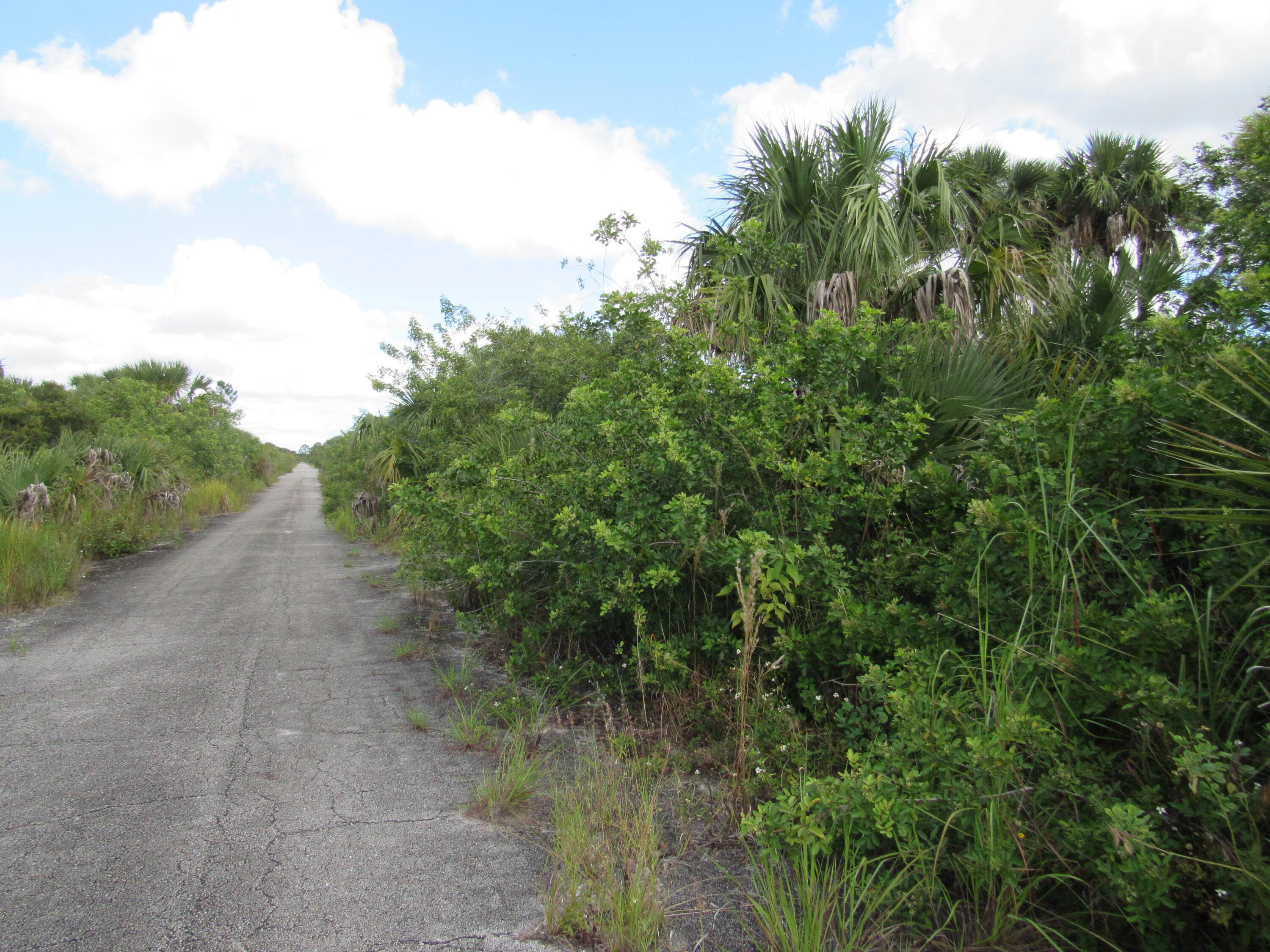 Buildable lot in SW Palm BayUnbranded Virtual Tour https www.