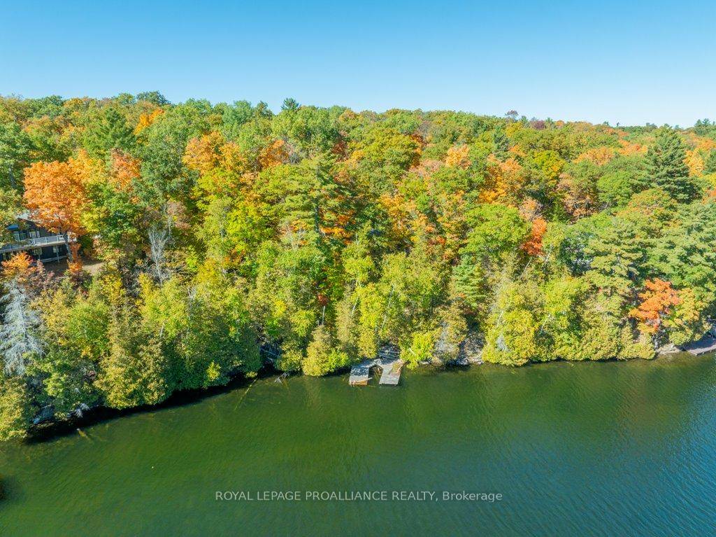 Welcome to your dream cottage on Kashwakamak Lake, nestled in the heart of the beautiful Land O'Lakes !