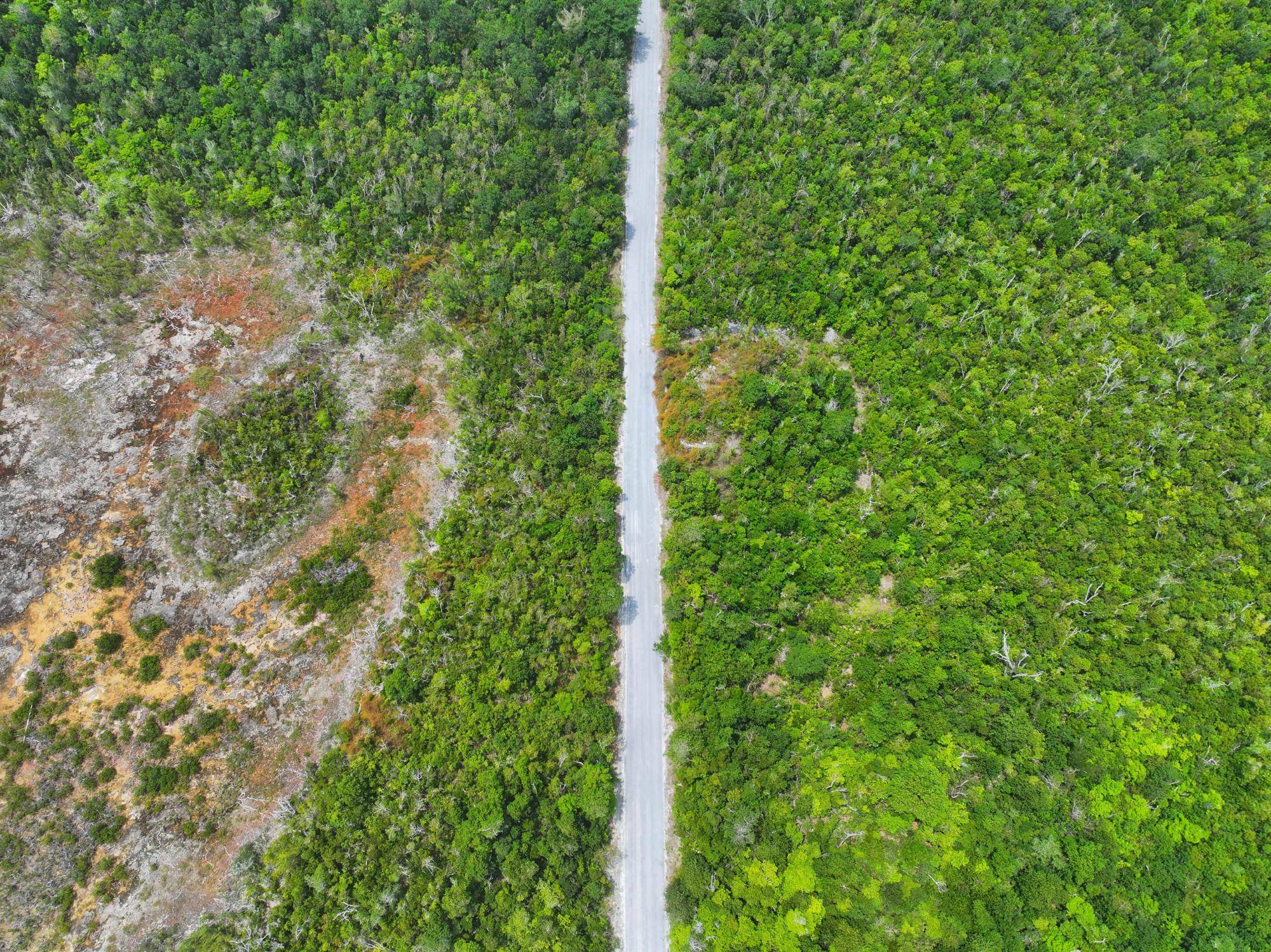 LOT 8 THE LANDING Land Abaco