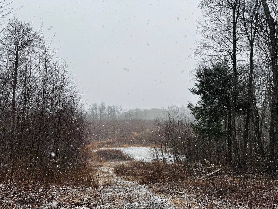 26 Acres of Unique Land These 3 parcels are found in a picturesque rural setting, the expansive 26 acres provides a unique opportunity previous site work completed years ago.