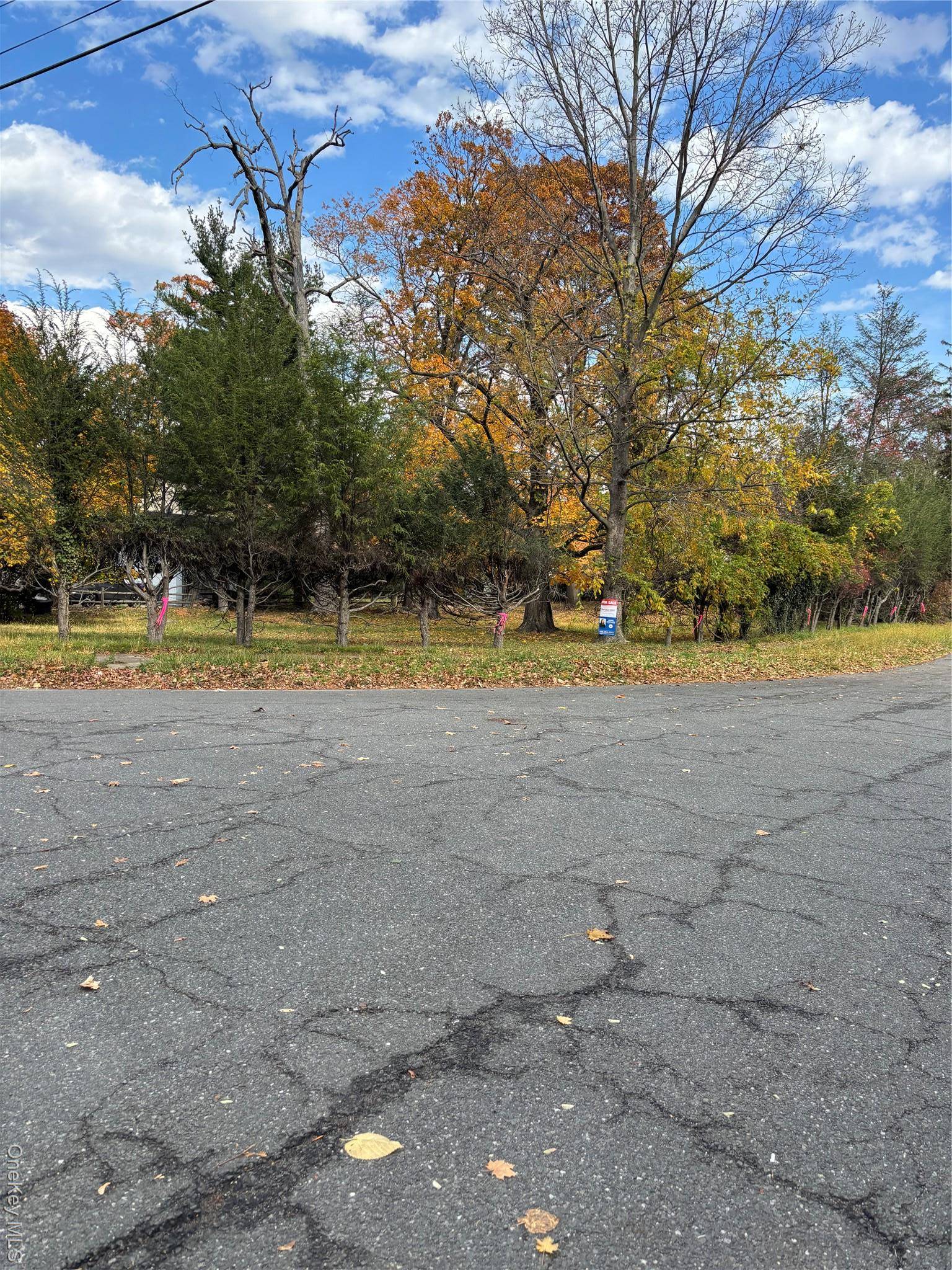 Outstanding opportunity to own vacant land situated between Orchard Place and Manhattan Avenue in New Rochelle.