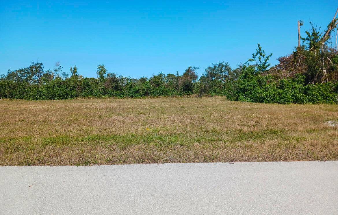 Take advantage of this rare opportunity to own land on a canal and build your dream home before the highly anticipated Festival Park project begins.