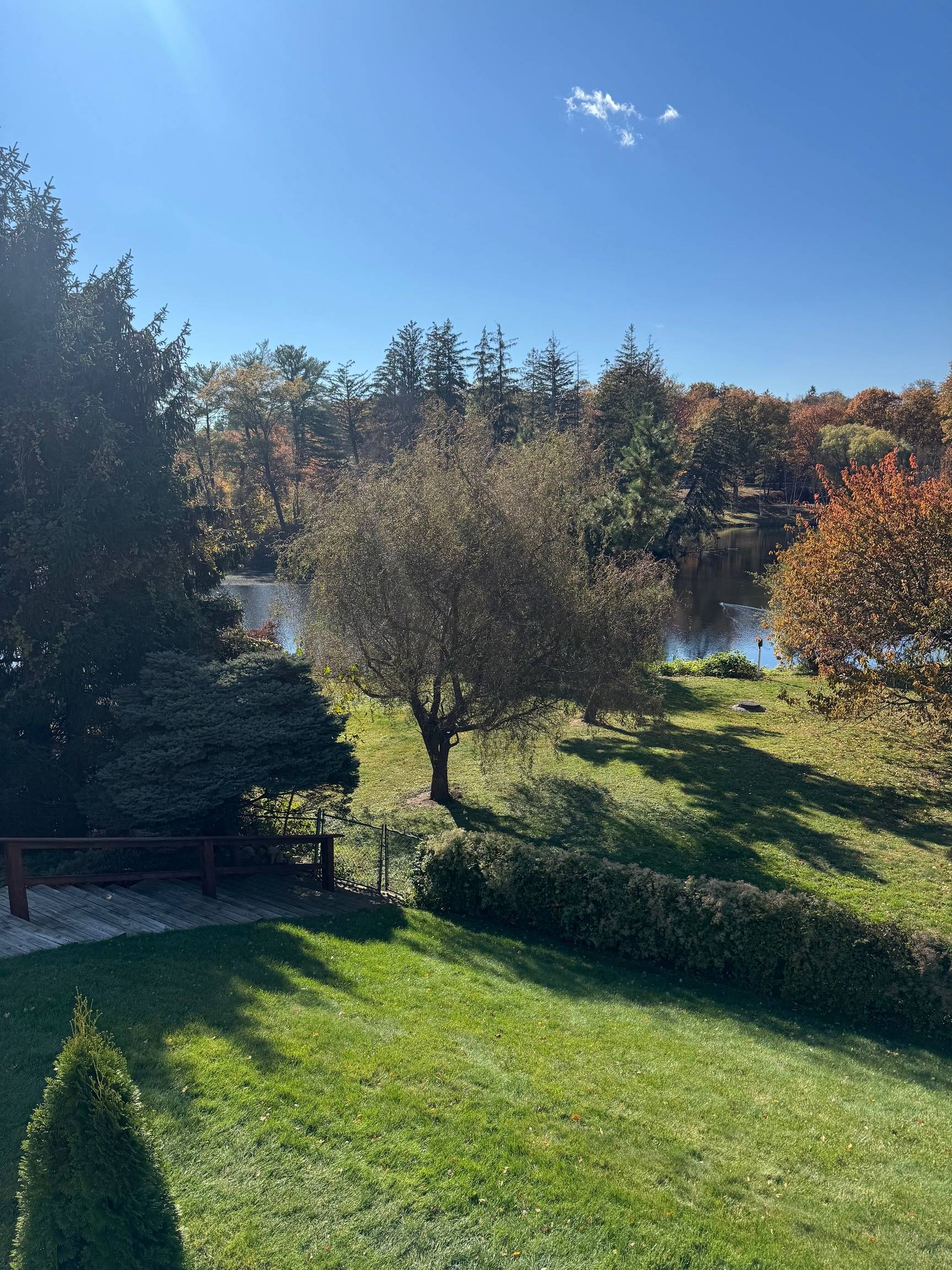 Welcome to 193B Park Street, a spacious 4 bedroom condominium offering spectacular, year round views of New Canaan's beloved Mead Park.