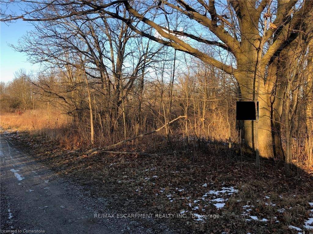 6 Acre country paradise located at the end of the travelled portion of a country road, just a 10 minute commute to Binbrook Cayuga Dunnville.