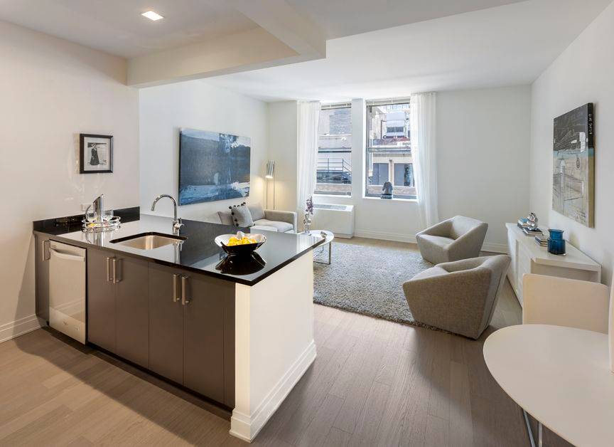 Alcove studio with bonus foyer space perfect for a home office or sleeping area, open kitchen with stainless steel appliances and stone counters, in unit washer dryer, multiple closets, and ...