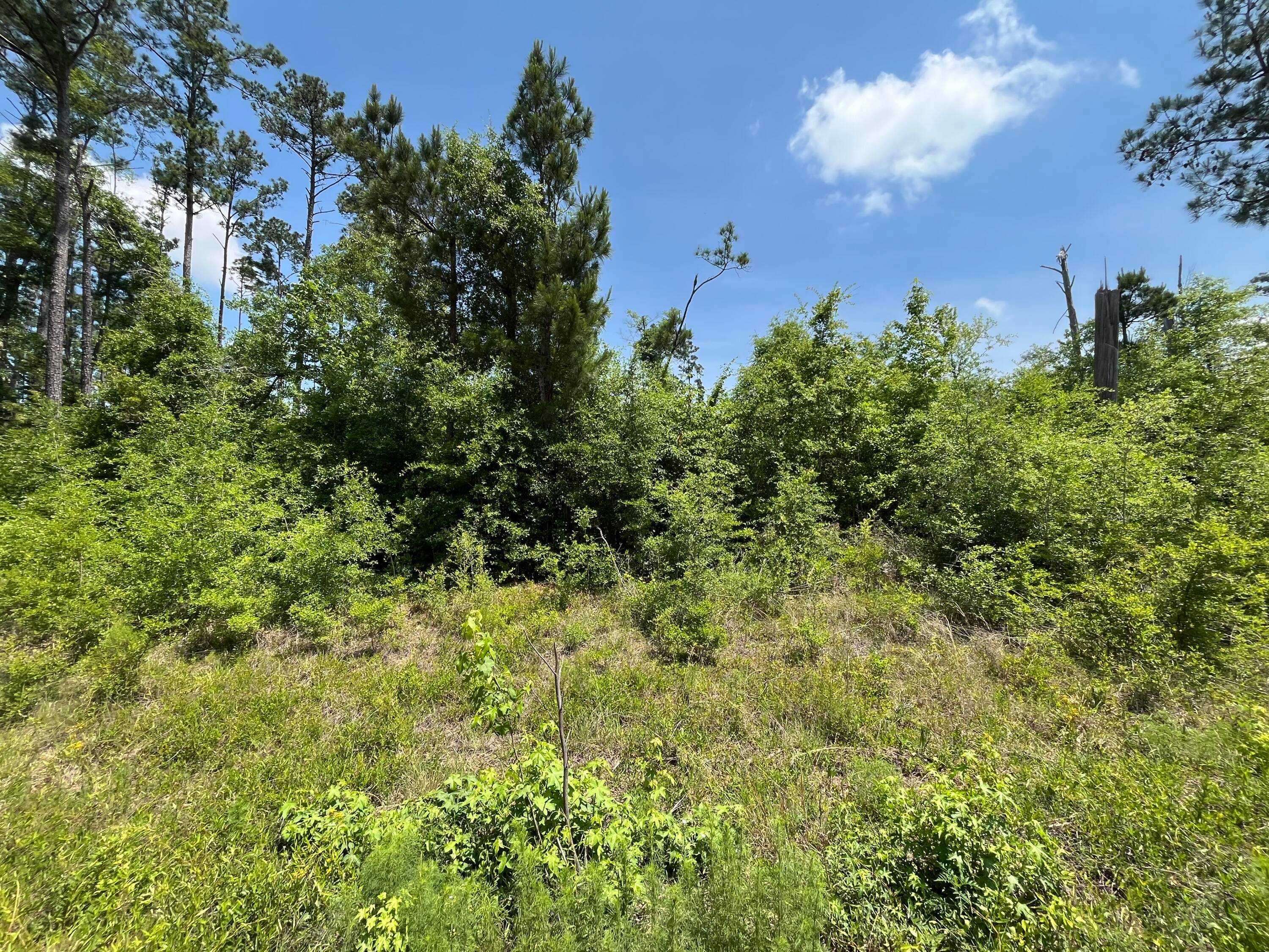 FINANCING AVAILABLE Don't miss out on this wooded 1.