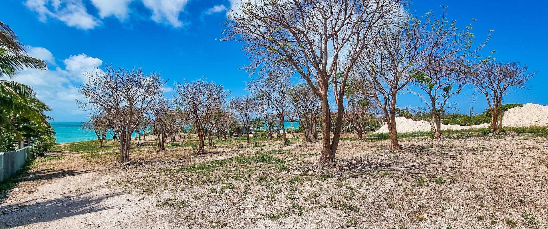 OFF VIVIAN PINDER ROAD, R Land Eleuthera