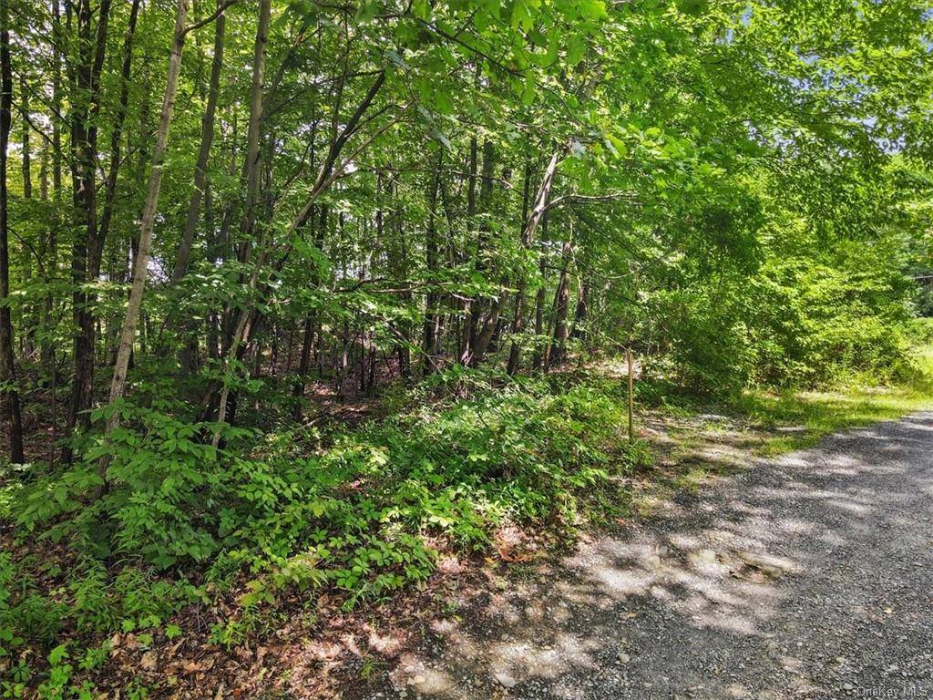 Located in the sought after Rhinebeck area, this BOHA approved lot offers a fantastic opportunity to build a custom one bedroom home.