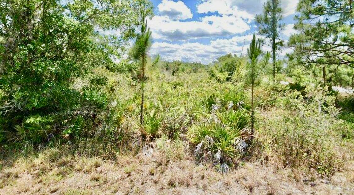 Prime 0. 26acre Vacant lot in a thriving Residential and Commercial Hub.