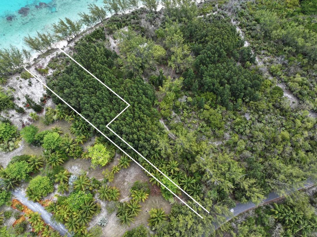 NORTH PALMETTO POINT Land Eleuthera