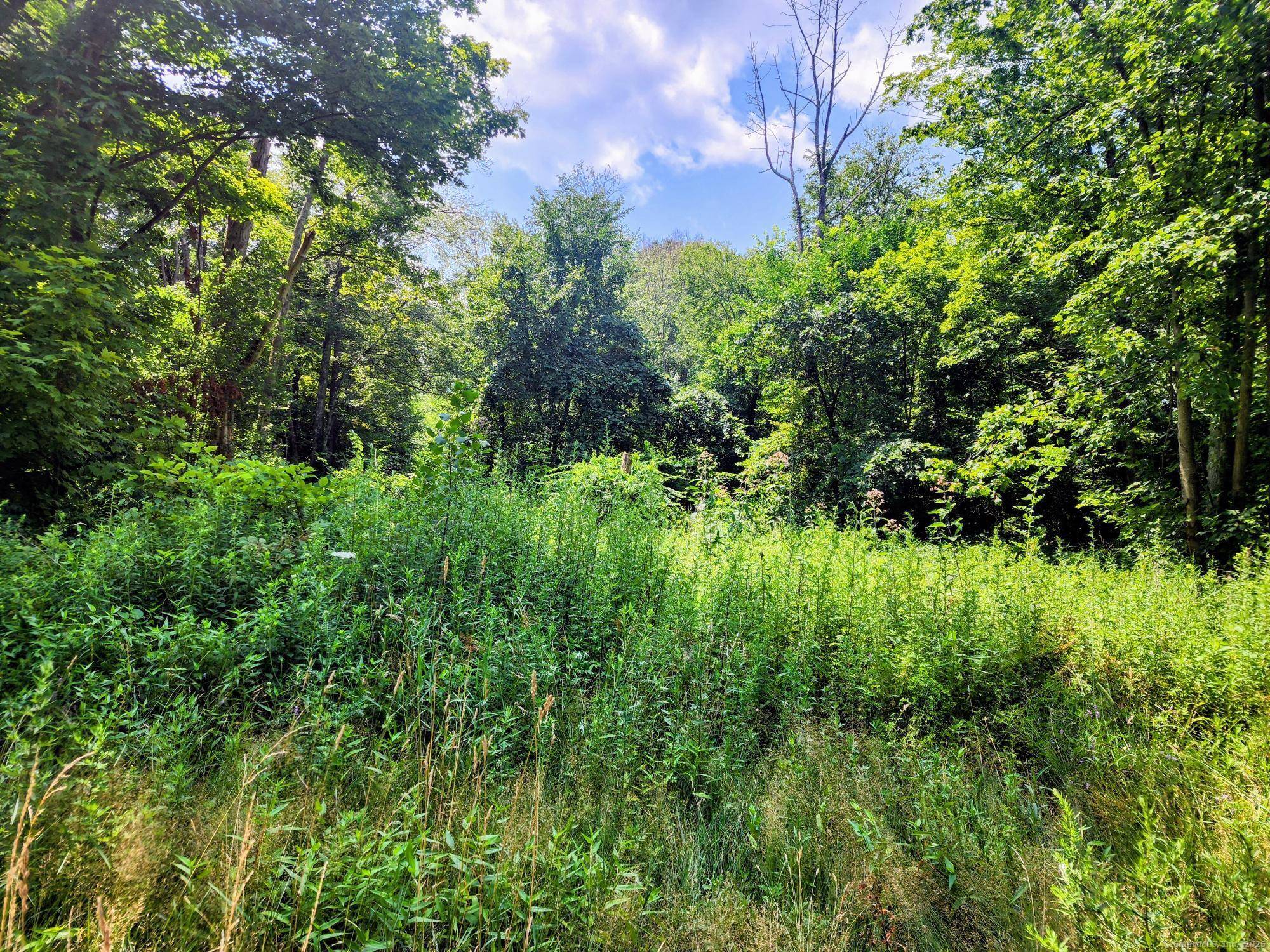 Rare opportunity to by a large parcel of land in Somers.
