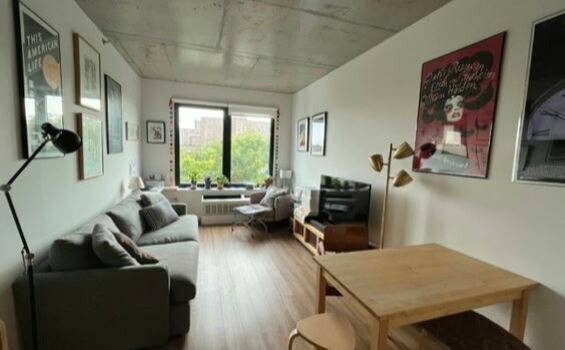Spacious and bright one bedroom in prime Williamsburg available for a 6 month lease assignment starting November 1, 2025 through April 30, 2026.
