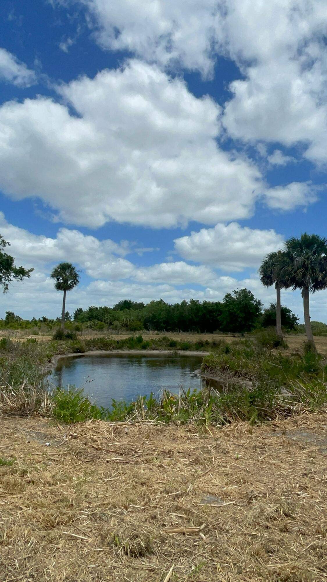 THE PRICE OF 99900 IS FOR TWO LISTINGS LOT M LOTS O P selling together.