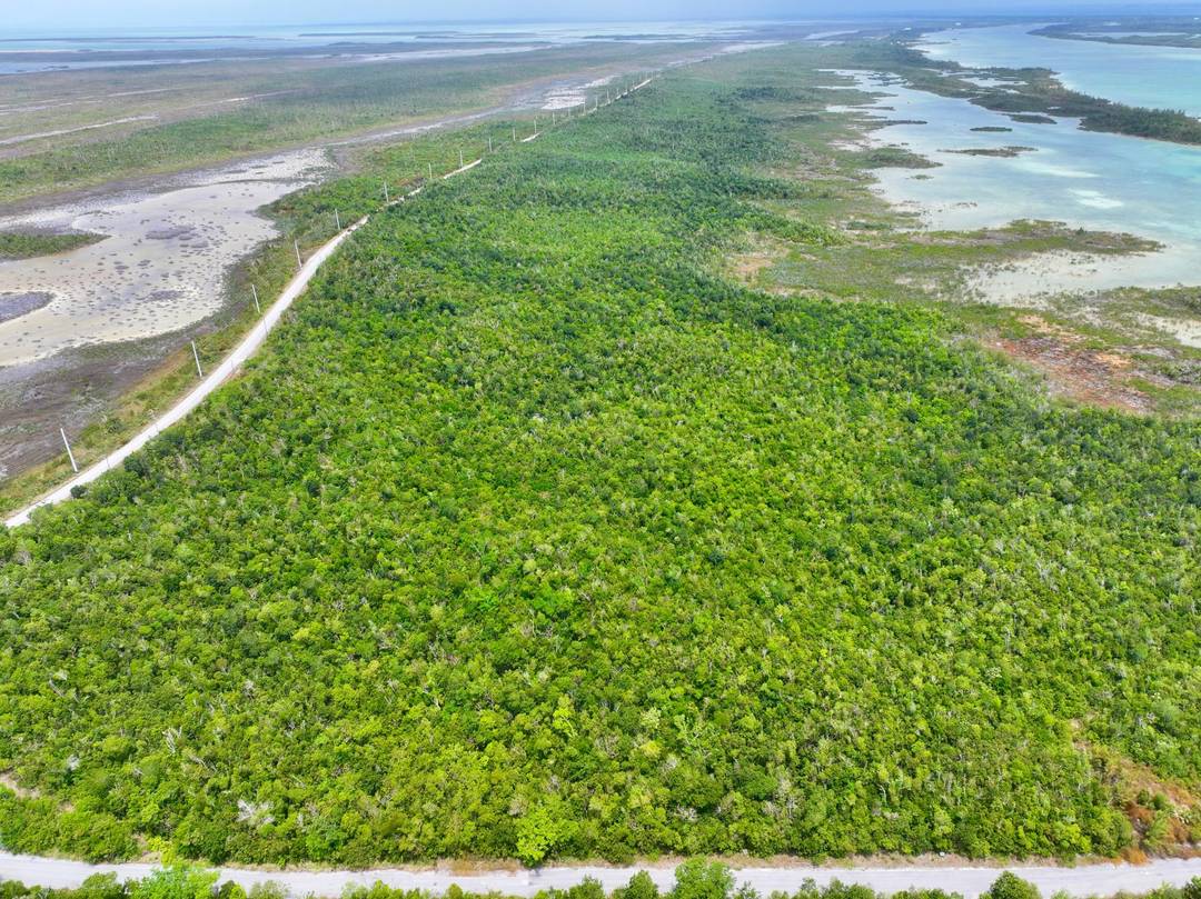 LOT 11 TURTLE COVE Land Abaco
