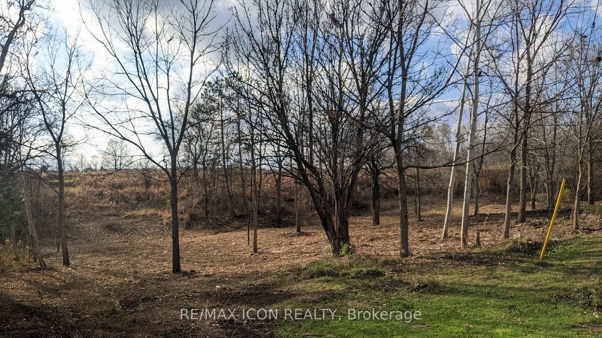 This wooded parcel in Wardsville Ontario, offers a serene and private setting, nestled in a tranquil area away from the main road.