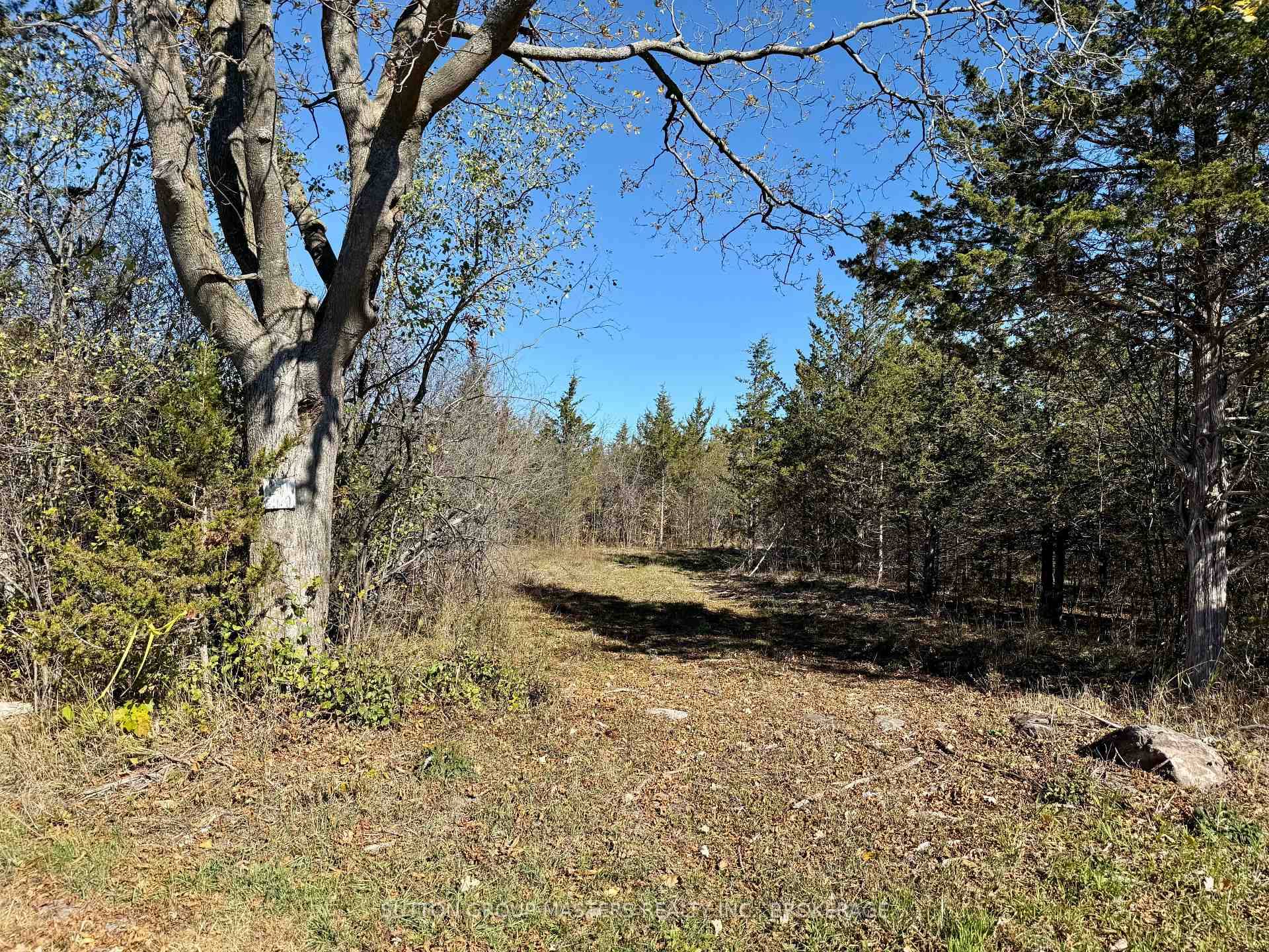 Four level and treed acres ready to build your dream home !