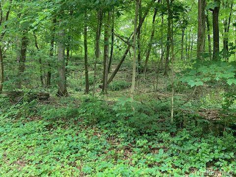 Beautiful lot, almost 2 wooded acres, board of health approved, in town of Pleasant Valley.
