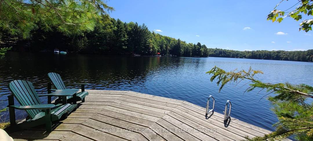Spend your summer and fall on your very own private island on the Muskoka River, available for lease from spring through the end of October.