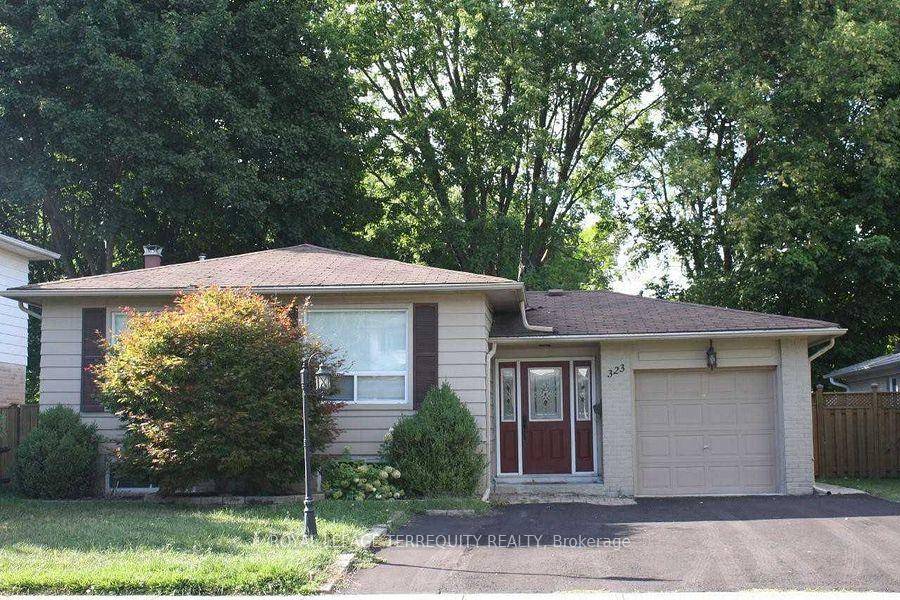 Bright and spacious large one bedroom basement apartment featuring above grade windows, a private entrance, Direct access to backyard, separate ensuite Laundry, It can be furnished or Unfurnished.