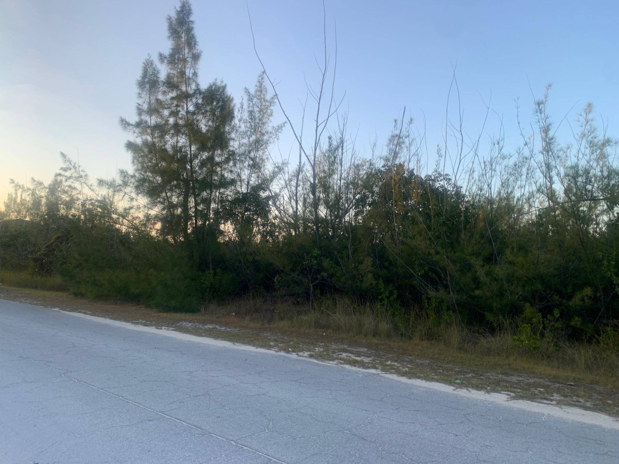SECTION A, BOOTLE BAY VIL Land Grand-Bahama-Freeport
