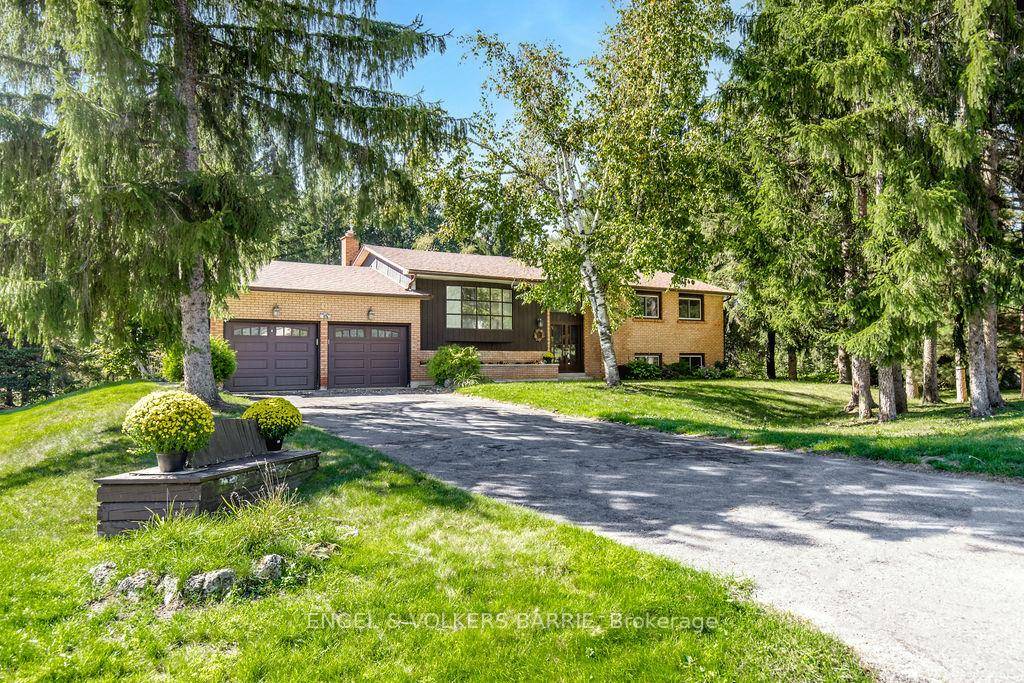Legitimately one of Midhurst's most desirable, family friendly streets !