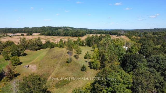 Partially cleared with mature trees.
