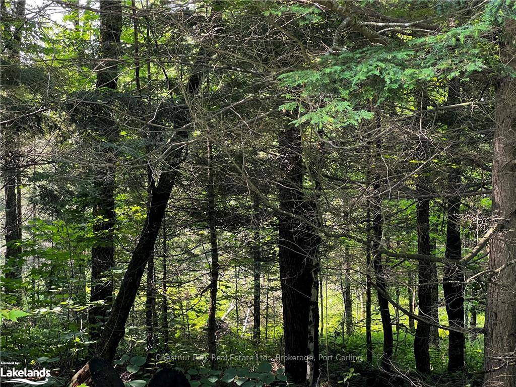 Welcome to nearly 2 acres of scenic Muskoka beauty the perfect canvas to build your dream cottage or year round home.