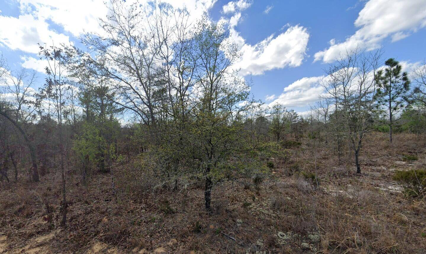 Build or bring your mobile home to this stunning corner lot in the growing city of Interlachen.