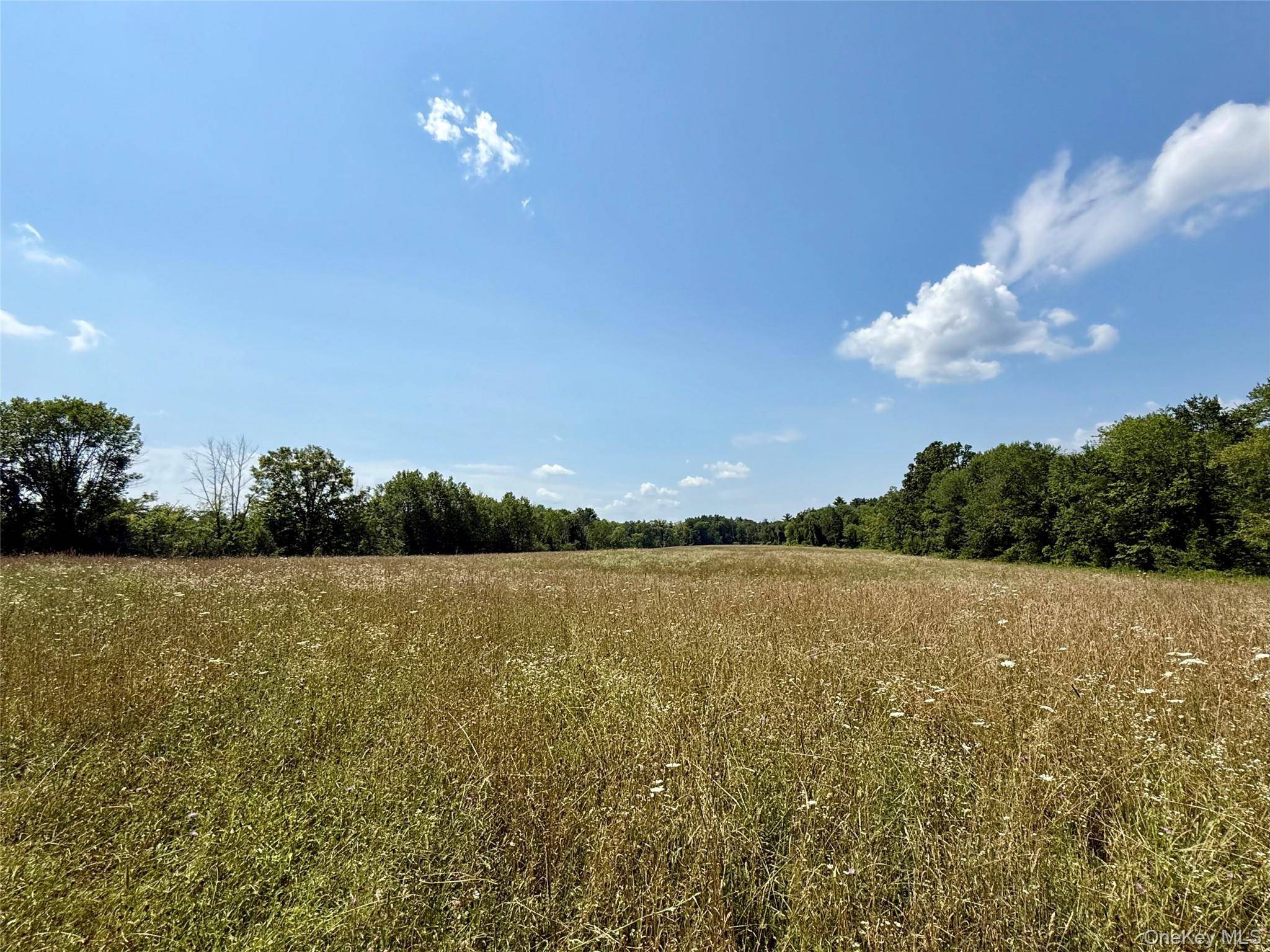 92 Acres Development Opportunity Lake Access Town of Wallkill, NY Discover an exceptional opportunity to own a prime 92 acre parcel in the scenic and sought after Town of Wallkill, ...