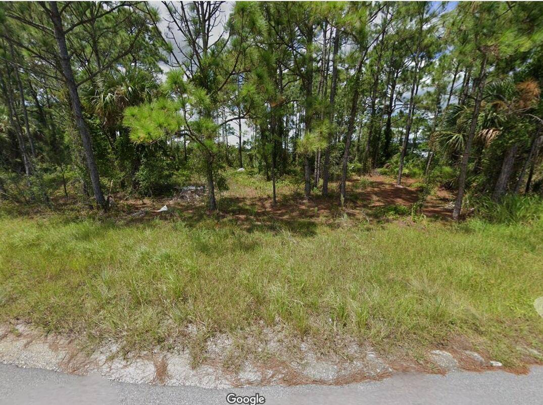 Build your dream home in the rapidly growing and highly sought after Palm Bay with several new homes in the area.