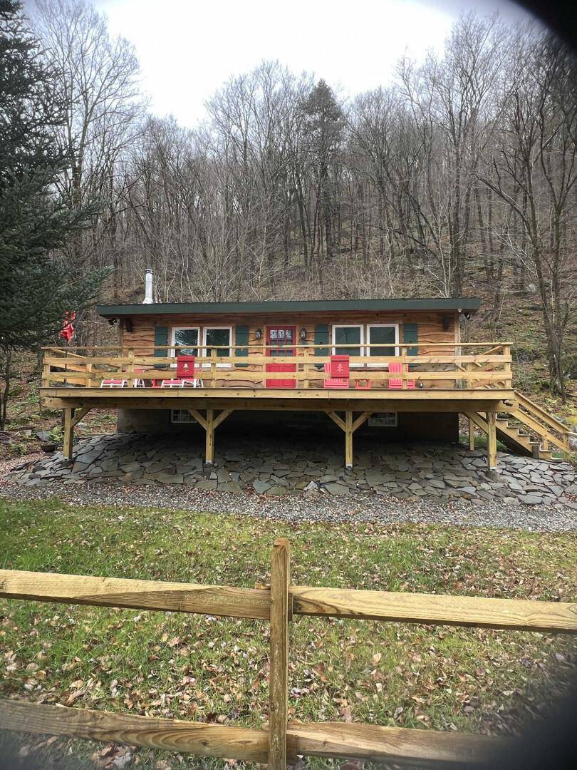 Cozy Cabin with 900' of Beaverkill River frontage !