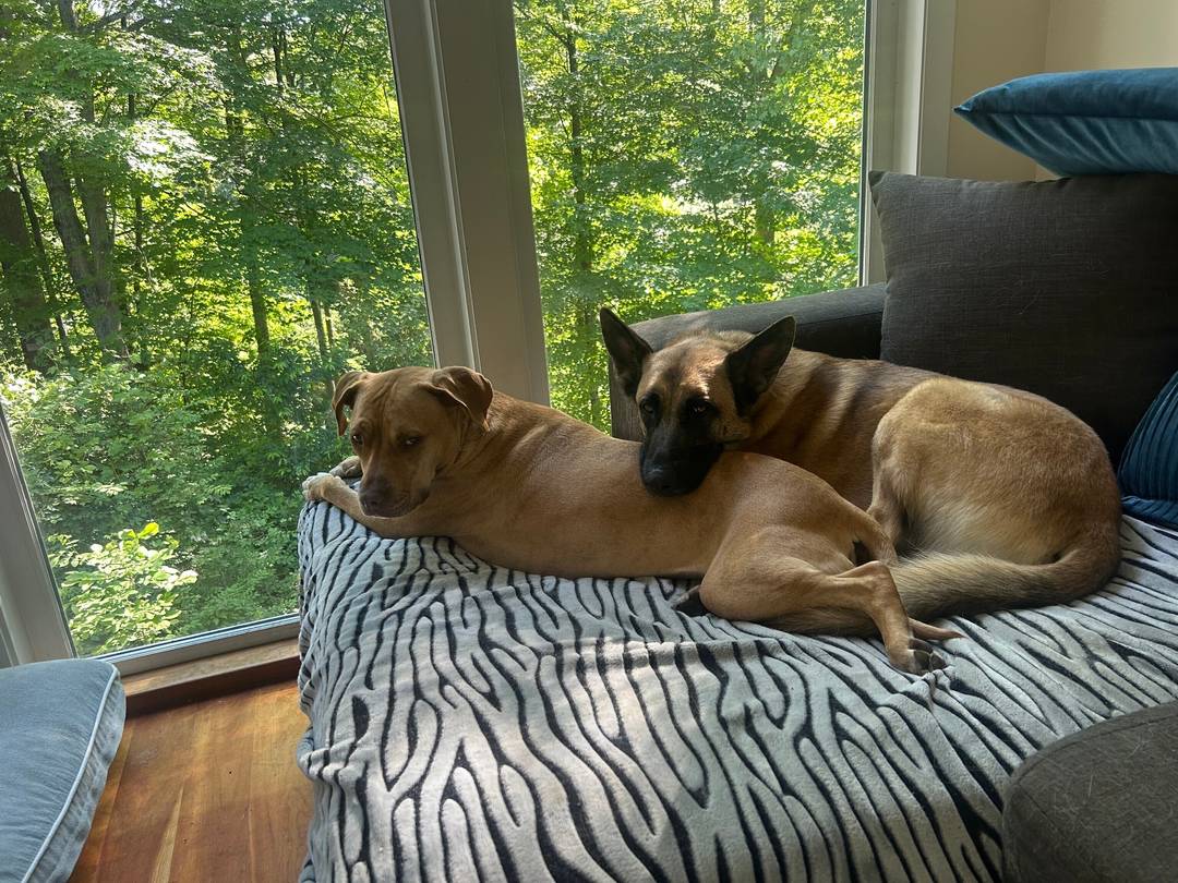 Simply gorgeous modern contemporary raised ranch on a one acre wooded lot in West Norwalk.