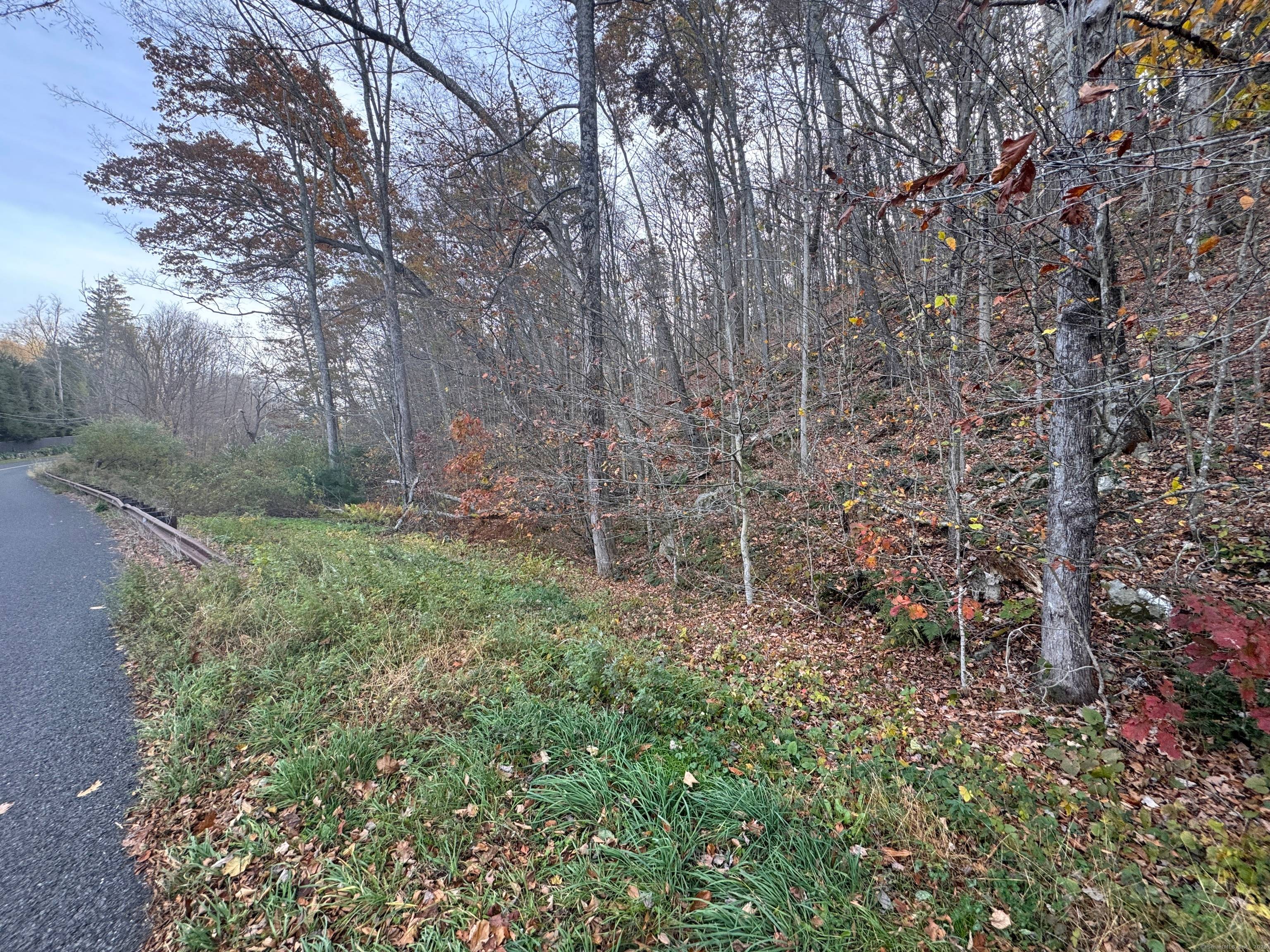 15. 90 acres on coveted Nettleton Hollow Road in Washington.