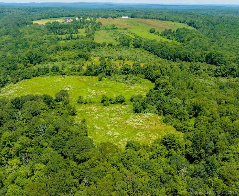 Discover the Timeless Beauty of Wells Woods A Once in a Lifetime Opportunity !