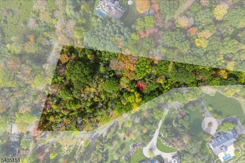 Unimproved building lot in bucolic Smiths Valley.