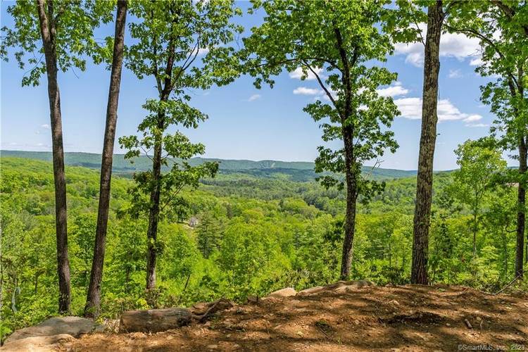 Welcome to your own nature lover's paradise in the Berkshire foothills !